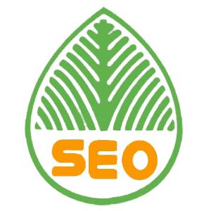 昌邑提升网站移动适配的注意事项
